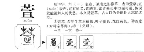 萱的五行|萱字的五行属性